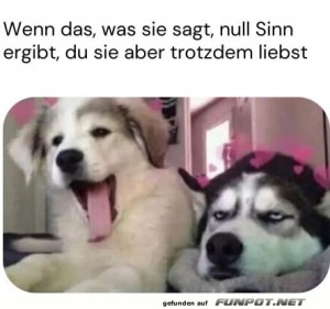 Dieser-Blick.jpg auf www.funpot.net
