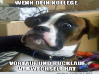 Du meine G�te