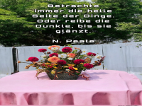 betrachte immer die helle seite