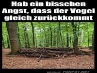 Ein riesiges Nest im Wald