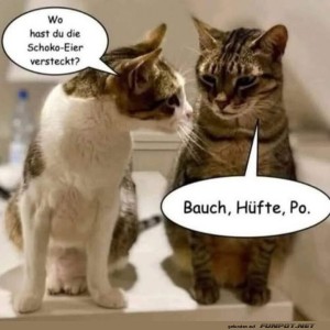 fun-Bild: Zwei Katzen f&uuml;hren ein lustiges Gespr&auml;ch