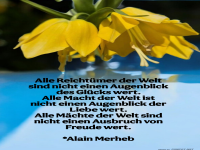 alle reichtmer der welt