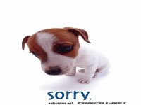 Entschuldigung mit s��em Welpen