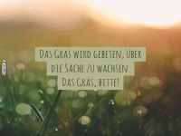 Humorvoller Spruch �ber Gras und Gelassenheit