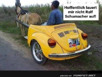 Pferdekutsche im VW Kfer-Stil