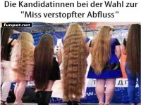 Wer wird die nchste 'Miss Haarpracht'?