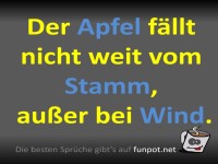 Wenn der Apfel eine Windreise macht