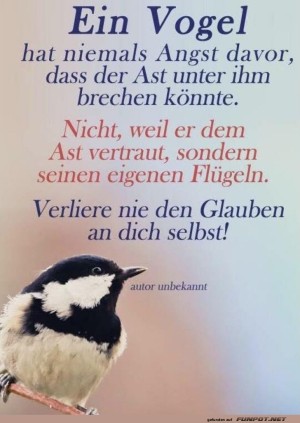 Vogelweisheit:-Vertrau-deinen-Fl�geln!.jpg auf www.funpot.net