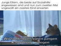 Katzengeburt: Die zweite Runde