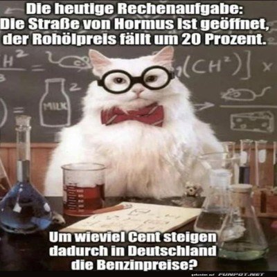 Professor-Katze-l&ouml;st-Benzinpreisr&auml;tsel!.jpg von Kurt1978