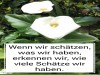 weiter