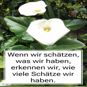 herz-Bild: wenn wir sch&auml;tzen
