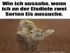 weiter