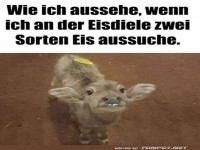 Beim Eis bestellen