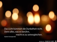 das Licht