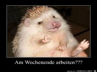 Wochenende