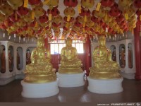 fuer Bildgenerator freigegeben 001602