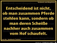 diegeilsten Pferde stehlen