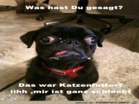 Was hast Du...