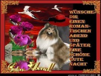 Guten Abend