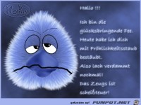 Ich bin die gl�cksbringende Fee