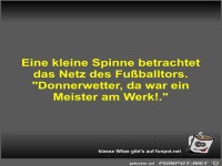 Eine kleine Spinne betrachtet das Netz des Fu�balltors