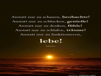 anstatt nur zu schauen