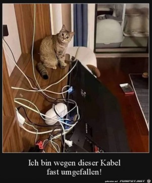 Bin-fast-umgefallen.jpg auf www.funpot.net