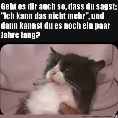 Weitermachen.jpg von Pina