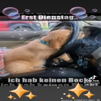 Erst-Dienstag.jpg von Keule56