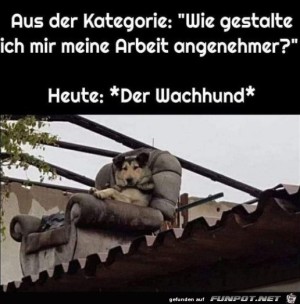 Cooler-Wachhund.jpg auf www.funpot.net