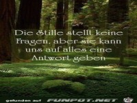 Die Stille stellt keine Fragen