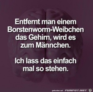 Ich-lass-das-mal-so-stehen.jpg auf www.funpot.net