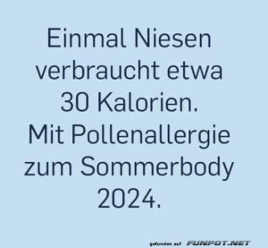 Niesen.jpg auf www.funpot.net