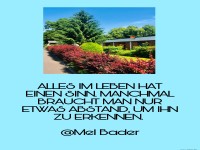 Alles im Leben