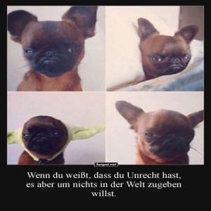 fun-Bild: Grummelmops stellt sich quer