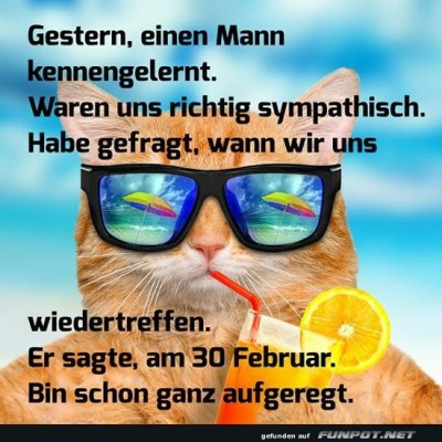Katzenkalender:-Warten-auf-den-30.-Februar!.jpg von Valentina