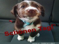 Sch�nen Tag