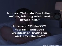 Nachts sind die Gedanken frech!