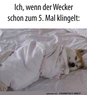 Wenn-der-Wecker-klingelt.jpg auf www.funpot.net