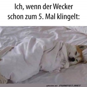 fun-Bild: Wenn der Wecker klingelt