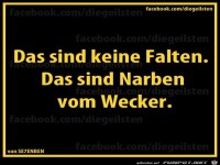 diegeilsten Narben