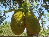 fuer Bildgenerator freigegeben 002564