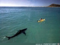 gefhrliche Fahrt im Kanu