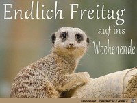 Endlich Freitag