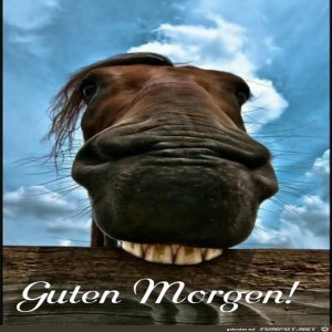 Begrüßungsbild