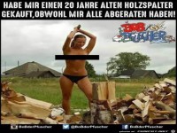 20 Jahre alten Holzspalter