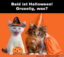 Halloween.jpg auf www.funpot.net