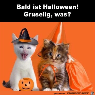 Halloween.jpg von Aisha