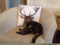 Was ist das f�r ein Tier